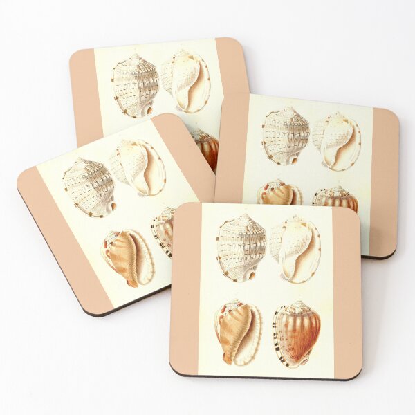 Item preview, Shell Collection designed and sold by collageDP.