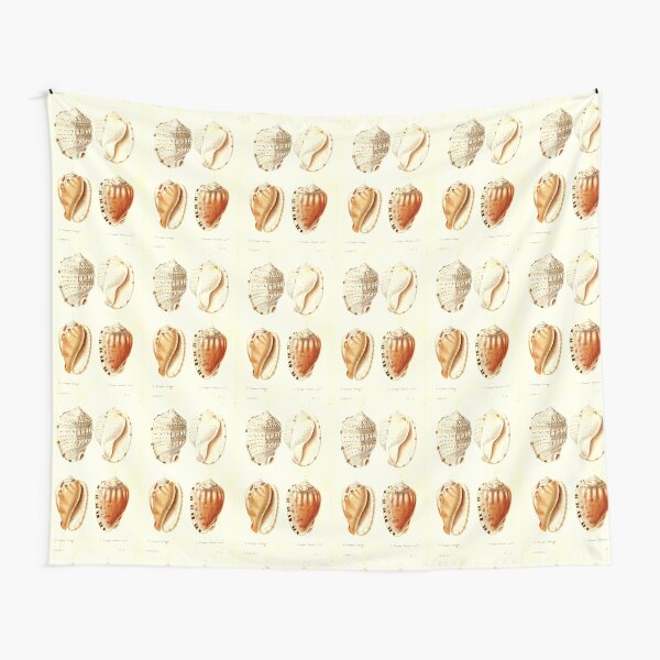 Item preview, Shell Collection designed and sold by collageDP.