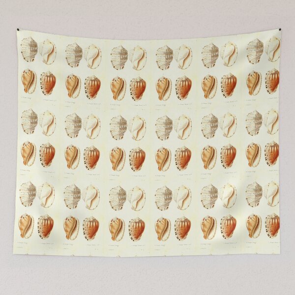 Item preview, Shell Collection designed and sold by collageDP.