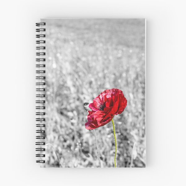 Item preview, Poppy in Lavender Field Selective Colour designed and sold by jrtwynam.