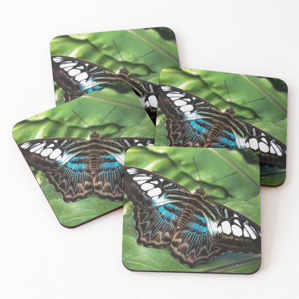 Item preview, The Clipper butterfly (Parthenos Sylvia) on a green leaf after the rain designed and sold by PR7 photography.