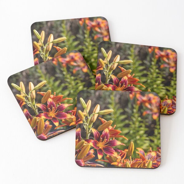Item preview, Vibrant Flowers at Lavender Farm designed and sold by jrtwynam.