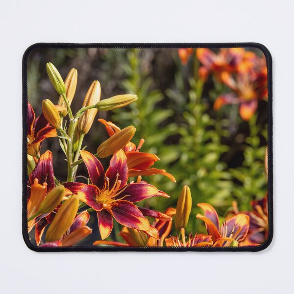 Item preview, Vibrant Flowers at Lavender Farm designed and sold by jrtwynam.