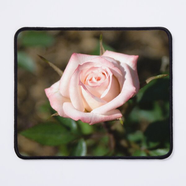 Item preview, Little Piece of Heaven designed and sold by TomikoKH19.