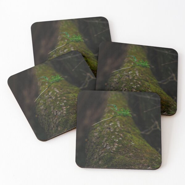 Item preview, Mossy tree log with green leaf on dark background designed and sold by PR7 photography.
