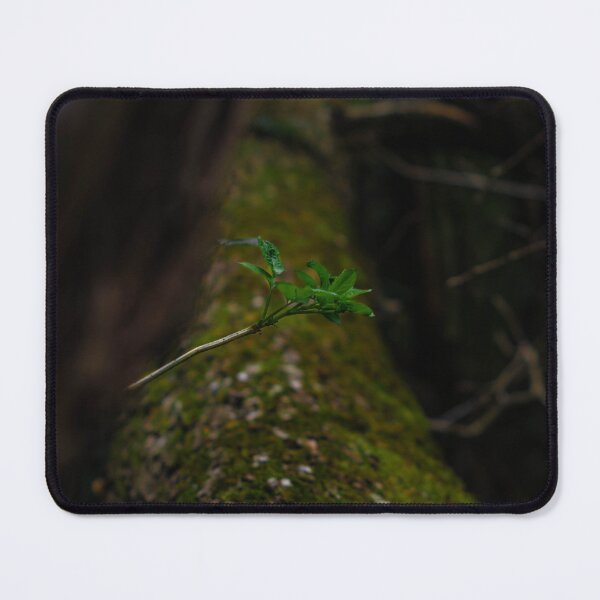Item preview, Mossy tree log with green leaf on dark background designed and sold by PR7 photography.