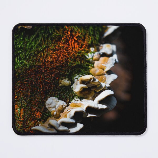 Item preview, Forest tree white-brown mushroom on mossy tree trunk with orange hues nearby designed and sold by PR7 photography.