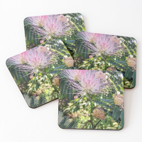 Item preview, Mimosa Flowers in Pine Level designed and sold by Elanna  Daughtry's.