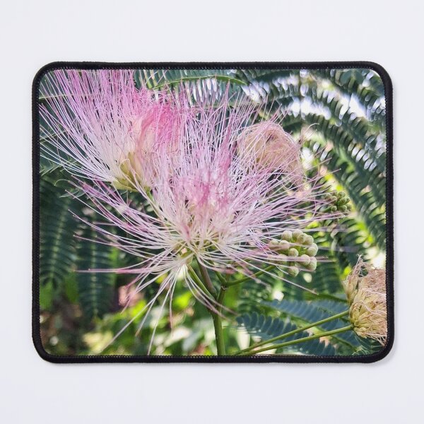 Item preview, Mimosa Flowers in Pine Level designed and sold by Elanna Daughtry's.