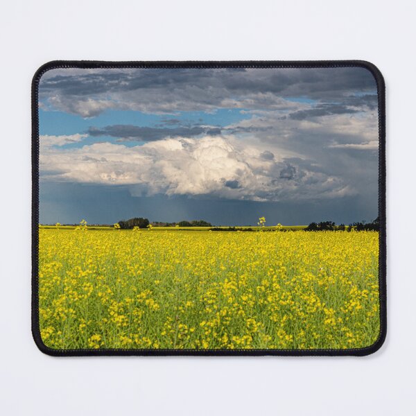 Item preview, Close Up Canola Field and Storm Clouds designed and sold by Don Arsenault.