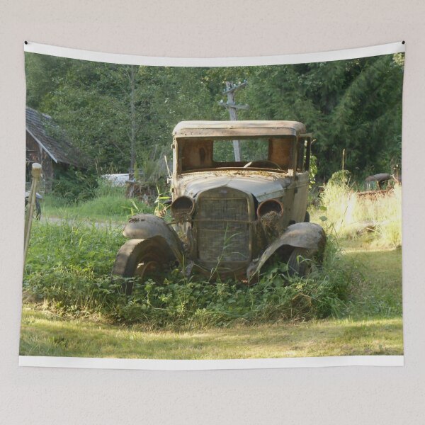 Item preview, Timeless Decay – Classic Car in the Grass designed and sold by starcraft542.