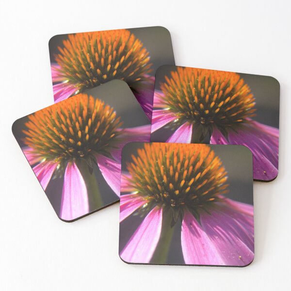 Item preview, Echinacea 2 designed and sold by Abi Rose.