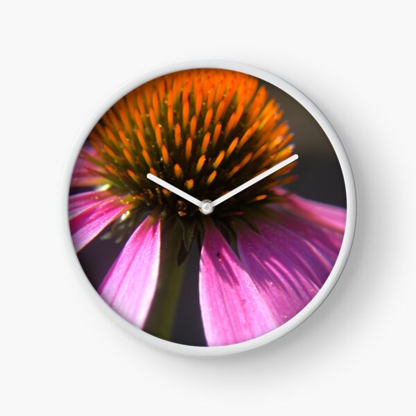 Item preview, Echinacea 2 designed and sold by AintDoinRite.