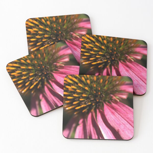Item preview, Echinacea designed and sold by Abi Rose.