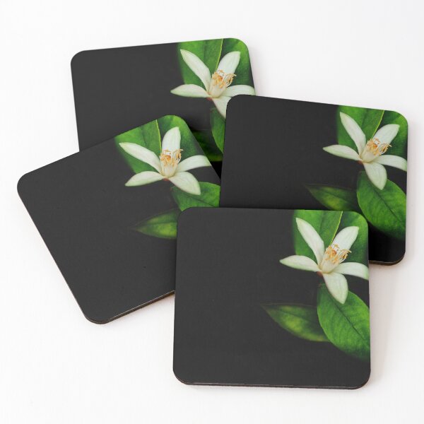 Item preview, Modern orange blossom flower photography print botanicals plant designed and sold by o.r.a.n.g.e.HAZE.