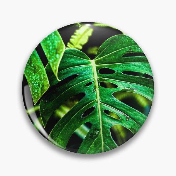 Artikelvorschau, Tropisches Monstera-Leuchten – Dschungelblatt-Fotografie entworfen und verkauft von Code4Designs.