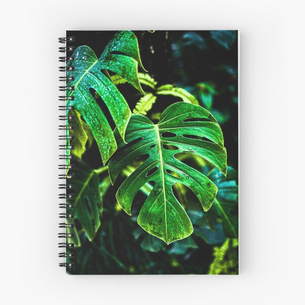 Artikelvorschau, Tropisches Monstera-Leuchten – Dschungelblatt-Fotografie entworfen und verkauft von Code4Designs.