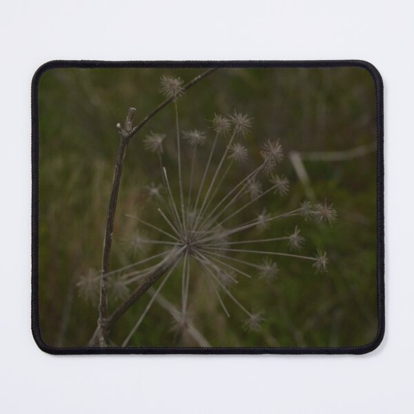 Item preview, Peggy's Cove Flora designed and sold by kry.ative.