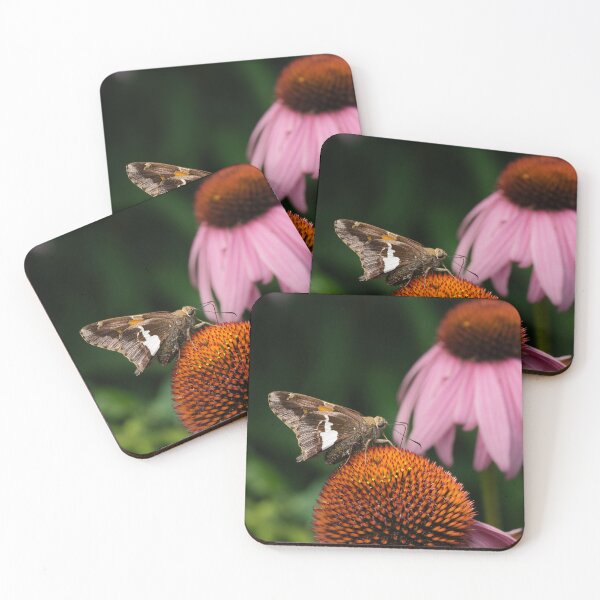 Item preview, Skipper Moth on Coneflower Macro designed and sold by az333.