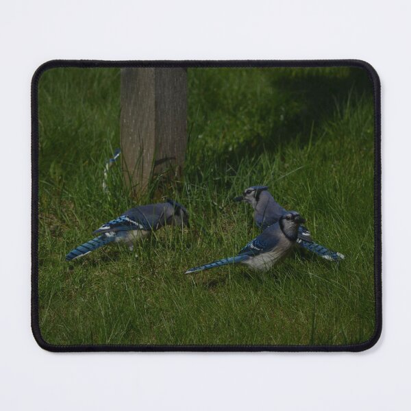 Artikelvorschau, Blue Jays entworfen und verkauft von kry.ative.