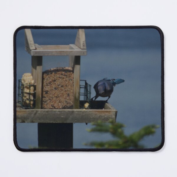 Artikelvorschau, Blue Jays entworfen und verkauft von kry.ative.