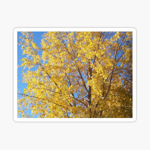 Item preview, Golden Leaves designed and sold by plains flora.