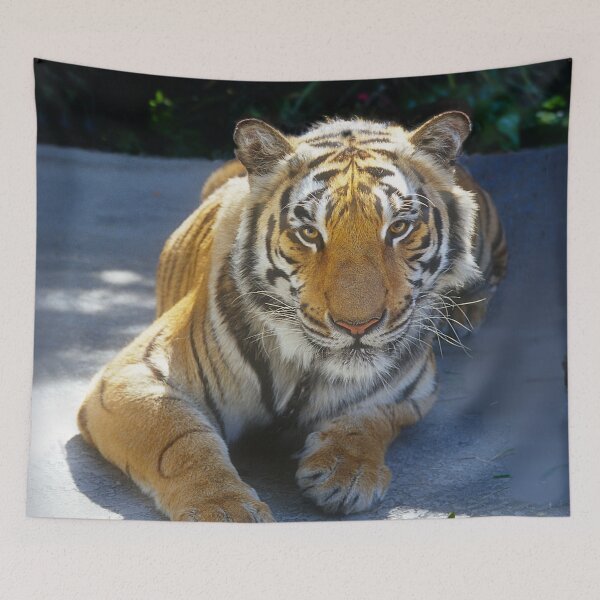 Item preview, Tiger Face Art Photo designed and sold by DEC02.