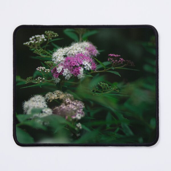 Item preview, Delicate Equilibrium - Hydrangea blooming during summer in Japan designed and sold by Akquired Taste.