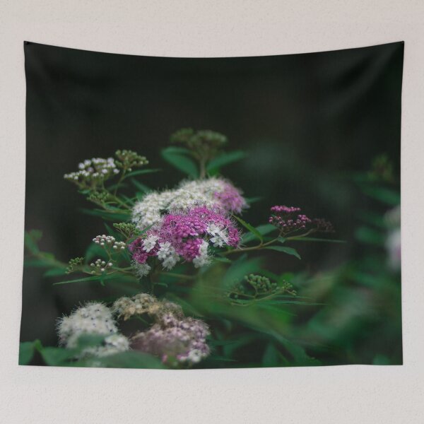 Item preview, Delicate Equilibrium - Hydrangea blooming during summer in Japan designed and sold by Akquired Taste.