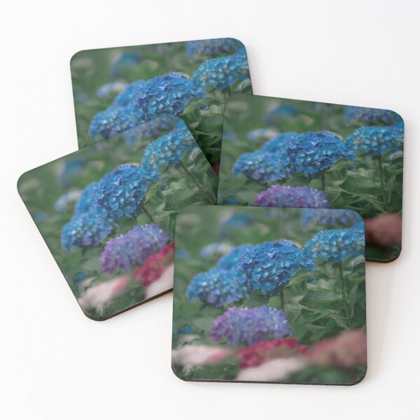 Item preview, The Chemistry of Blue - Hydrangea blooming during summer in Japan designed and sold by Akquired Taste.