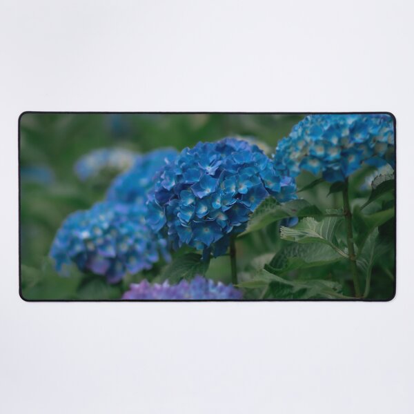 Item preview, The Chemistry of Blue - Hydrangea blooming during summer in Japan designed and sold by Akquired Taste.