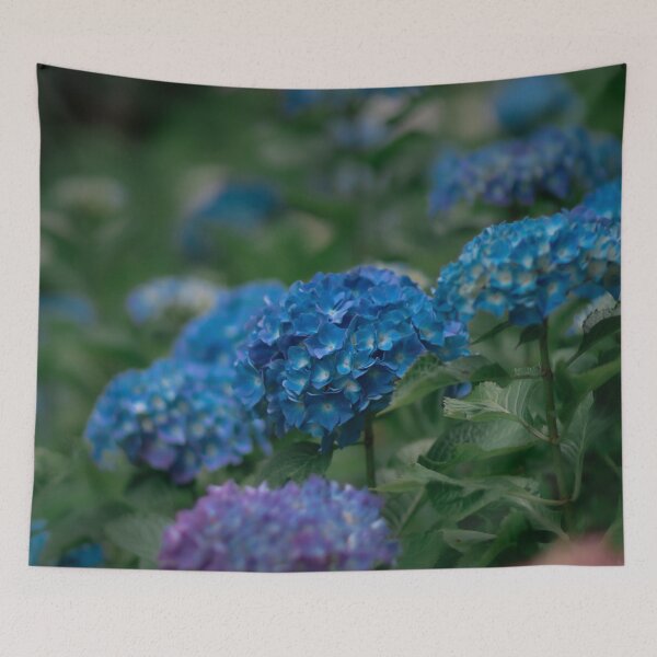 Item preview, The Chemistry of Blue - Hydrangea blooming during summer in Japan designed and sold by Akquired Taste.