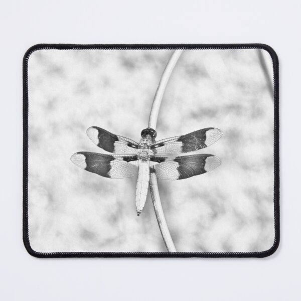 Item preview, Grayscale blue Darter Dragonfly on Tomato Cage designed and sold by gistinker.