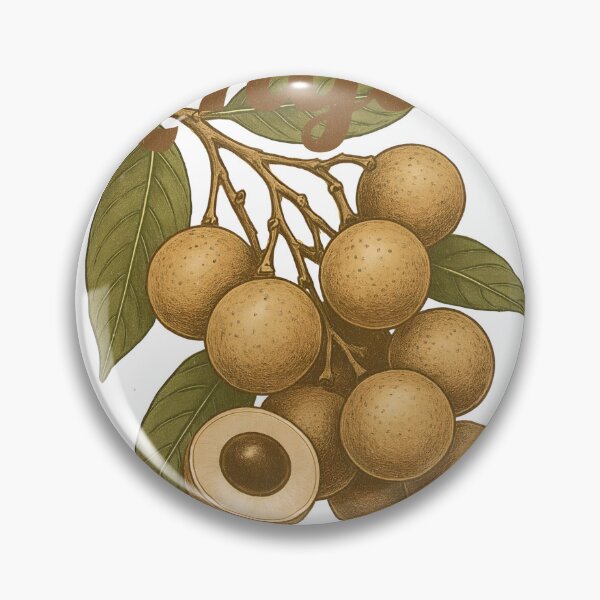 Item preview, Retro Longan Botanical Fruit Farmers Market Illustration designed and sold by Honominu.