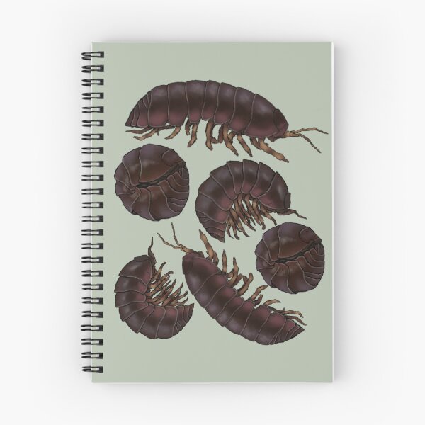 Item preview, Rollie Pollie designed and sold by sketchy.weevil.