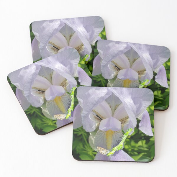 Item preview, Bearded Iris RZ White 5/19 designed and sold by Unlimited Imagination .