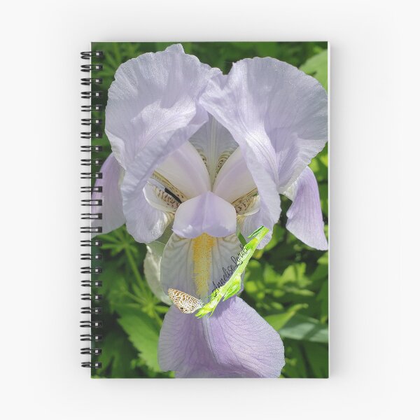 Item preview, Bearded Iris RZ White 5/19 designed and sold by Unlimited Imagination .