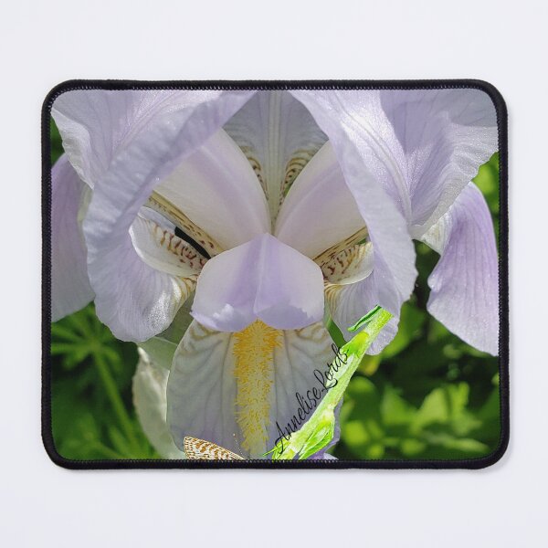 Item preview, Bearded Iris RZ White 5/19 designed and sold by Unlimited Imagination .