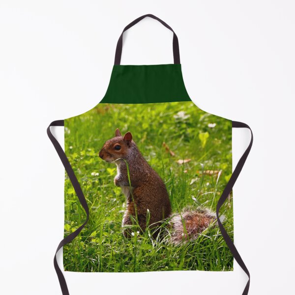 Item preview, Squirrel in Closeup designed and sold by jwwallace.