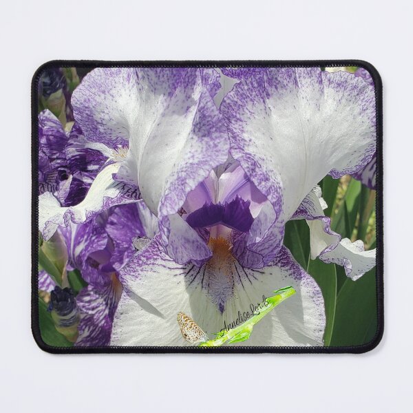Item preview, Bearded Purple & White Iris RZ 5/19 designed and sold by Unlimited Imagination .