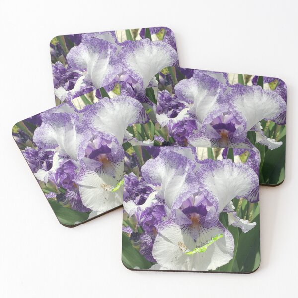 Item preview, Bearded Purple & White Iris RZ 5/19 designed and sold by Unlimited Imagination .