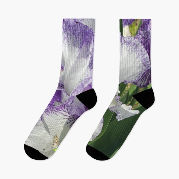 Item preview, Bearded Purple & White Iris RZ 5/19 designed and sold by Unlimited Imagination .