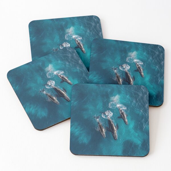 Item preview, Whales photo from drone designed and sold by Brendon987.