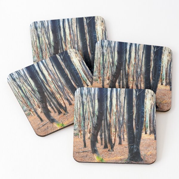 Item preview, Morning at Stoodley Arboretum Mountain Bike Forest Tasmania, Australia. designed and sold by Huskyyy Designs.