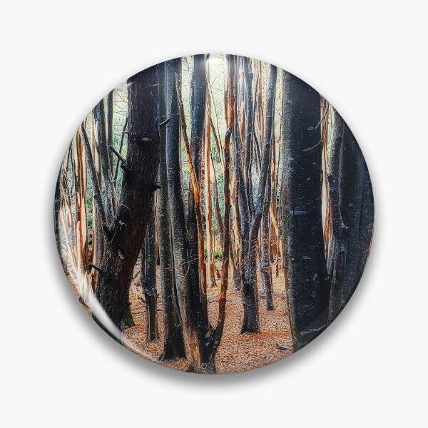 Item preview, Morning at Stoodley Arboretum Mountain Bike Forest Tasmania, Australia. designed and sold by Huskyyy Designs.