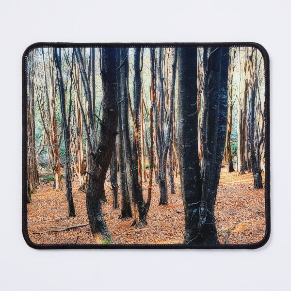 Item preview, Morning at Stoodley Arboretum Mountain Bike Forest Tasmania, Australia. designed and sold by Huskyyy Designs.