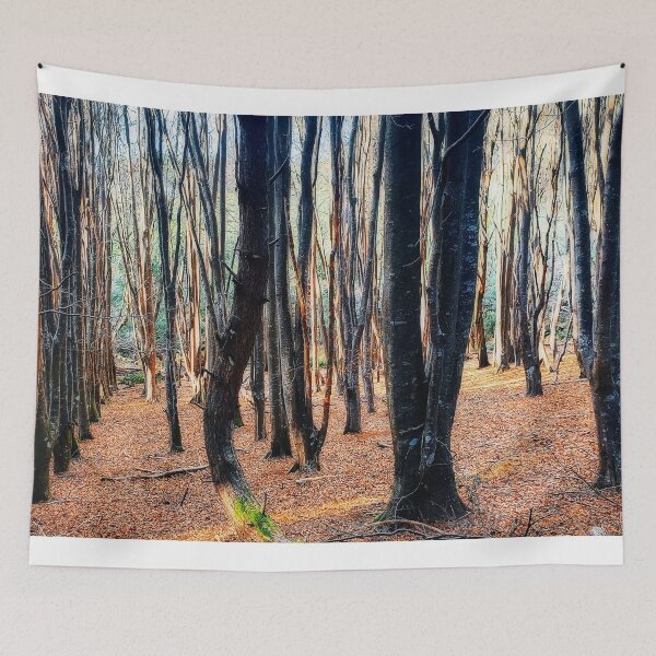 Item preview, Morning at Stoodley Arboretum Mountain Bike Forest Tasmania, Australia. designed and sold by Huskyyy Designs.