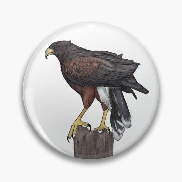 Item preview, Hawk on a Tree Digital Painting by REAL ARTIST  designed and sold by Caitlyn Cooper.
