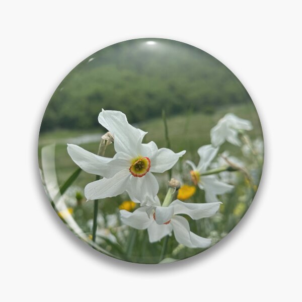 Item preview, Narcissus poeticus  designed and sold by Iran78.
