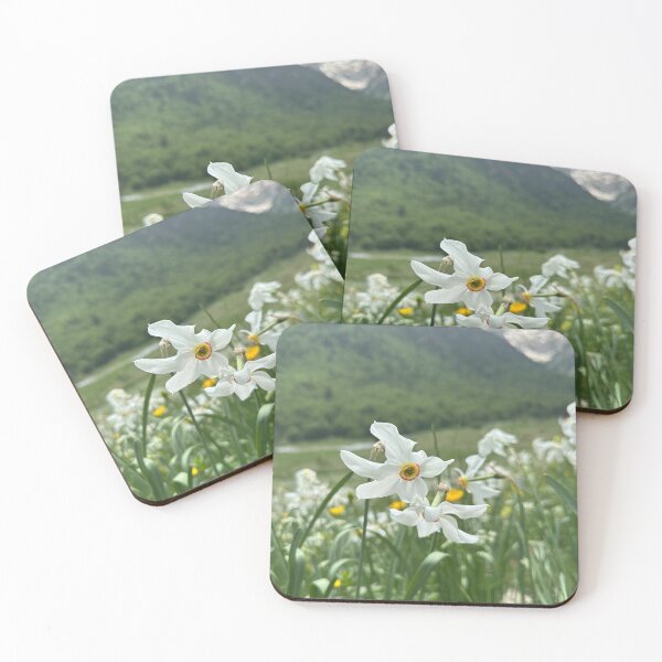 Item preview, Narcissus poeticus  designed and sold by Iran78.